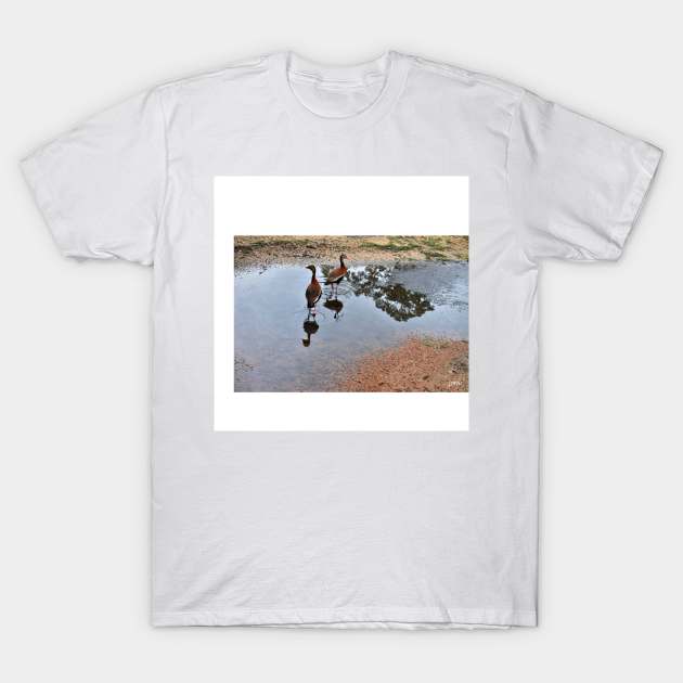 ducks in the park photograph T-Shirt by jorge_lebeau